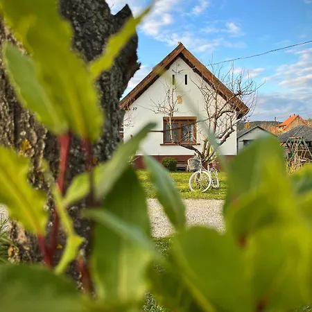 Relax * فونيارتْسفاشغ